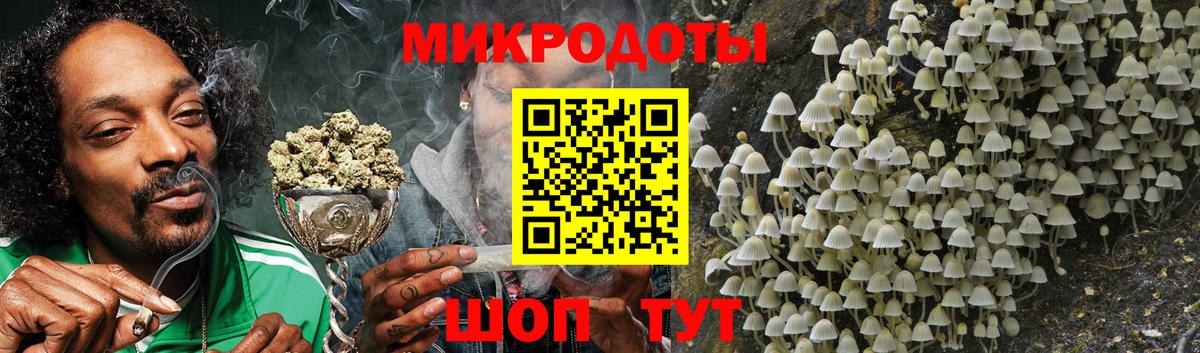 где найти наркотики  Псилоцибиновые грибы мухоморы  Грязи  Вход с VPN  Галлюциногенные грибы Cubensis 